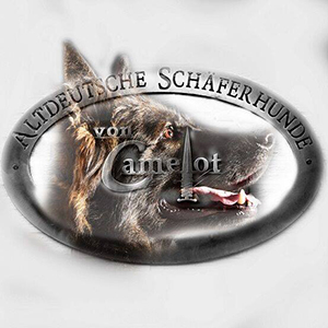 Altdeutsche Schäferhunde von Camelot
